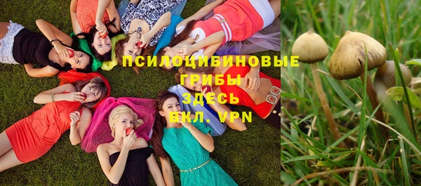 дмт Лихославль