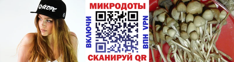 Галлюциногенные грибы мухоморы Тутаев